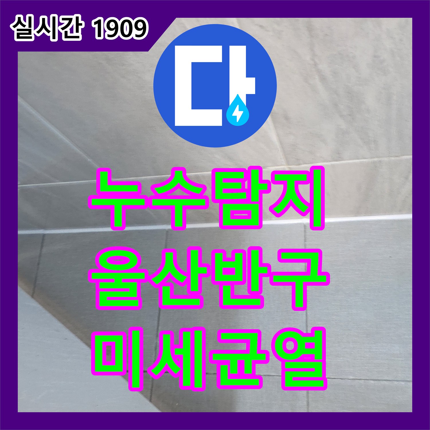 누수탐지전문가 육안으로 확인하기 어려운 화장실 미세 균열 누수 원인을 찾아 드린 울산 중구 반구1동 현장