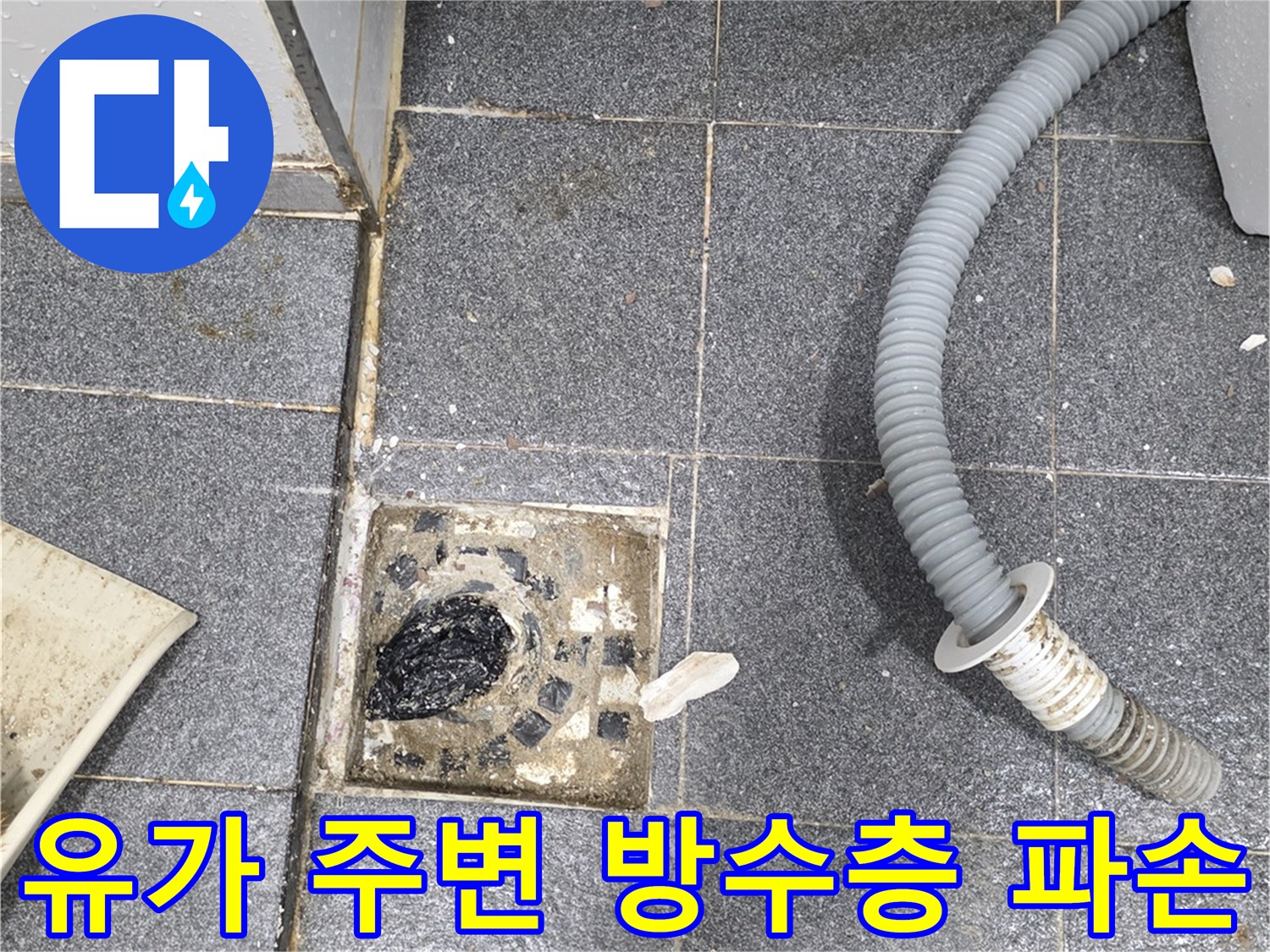 배수구 유가와 배관 사이의 틈새 및 오염된 타일 상태입니다.