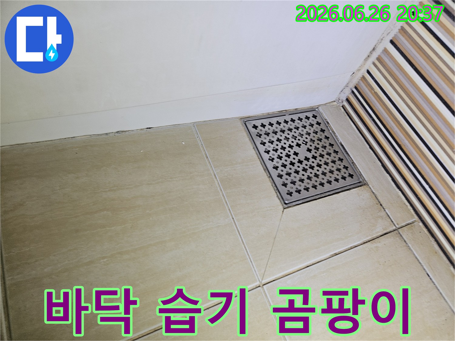 욕실 바닥 타일의-틈새와 벽면 하단에-나타난 어두운 오염은-지속적인 습기로 인한-곰팡이와 누수의-징후를 나타냅니다