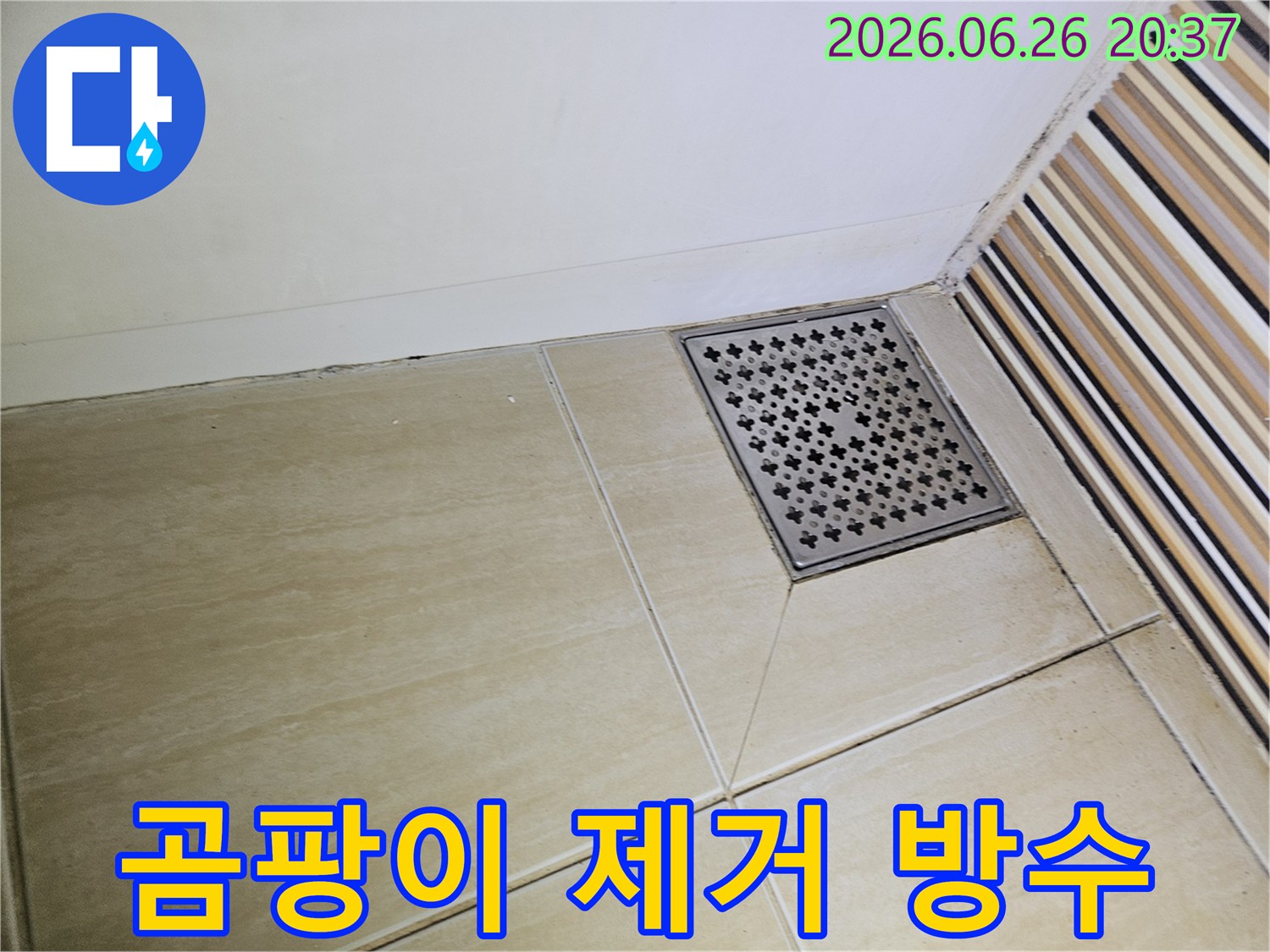 욕실 배수구 주변의-타일과 줄눈에-나타난 검은 곰팡이는-지속적인 습기와-누수 발생을-강력히 시사하며-제거 및 방수가-필요함을 보여줍니다