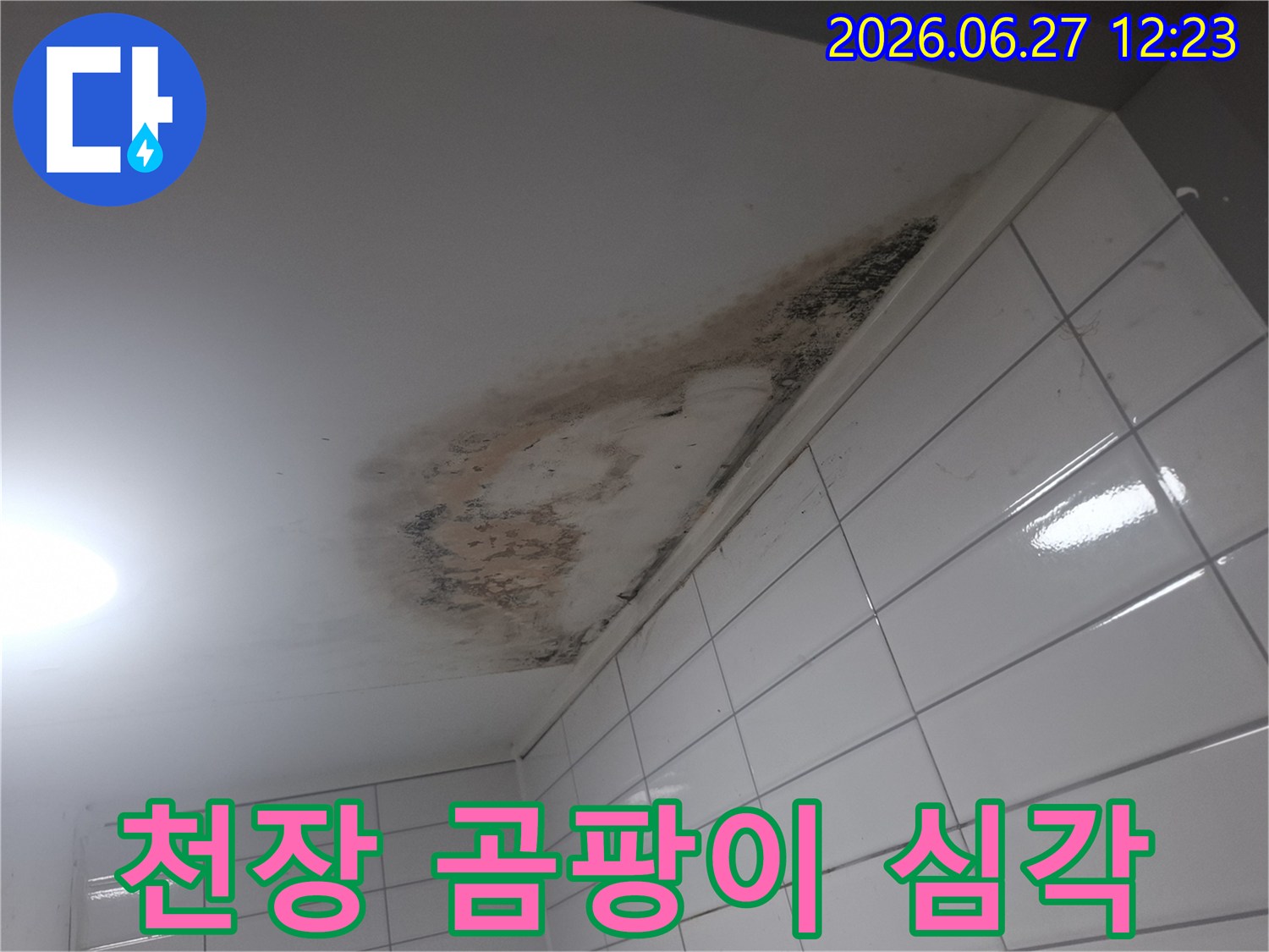 천장-마감재가-손상되고-곰팡이가-광범위하게-번식한-누수-현장-사진
