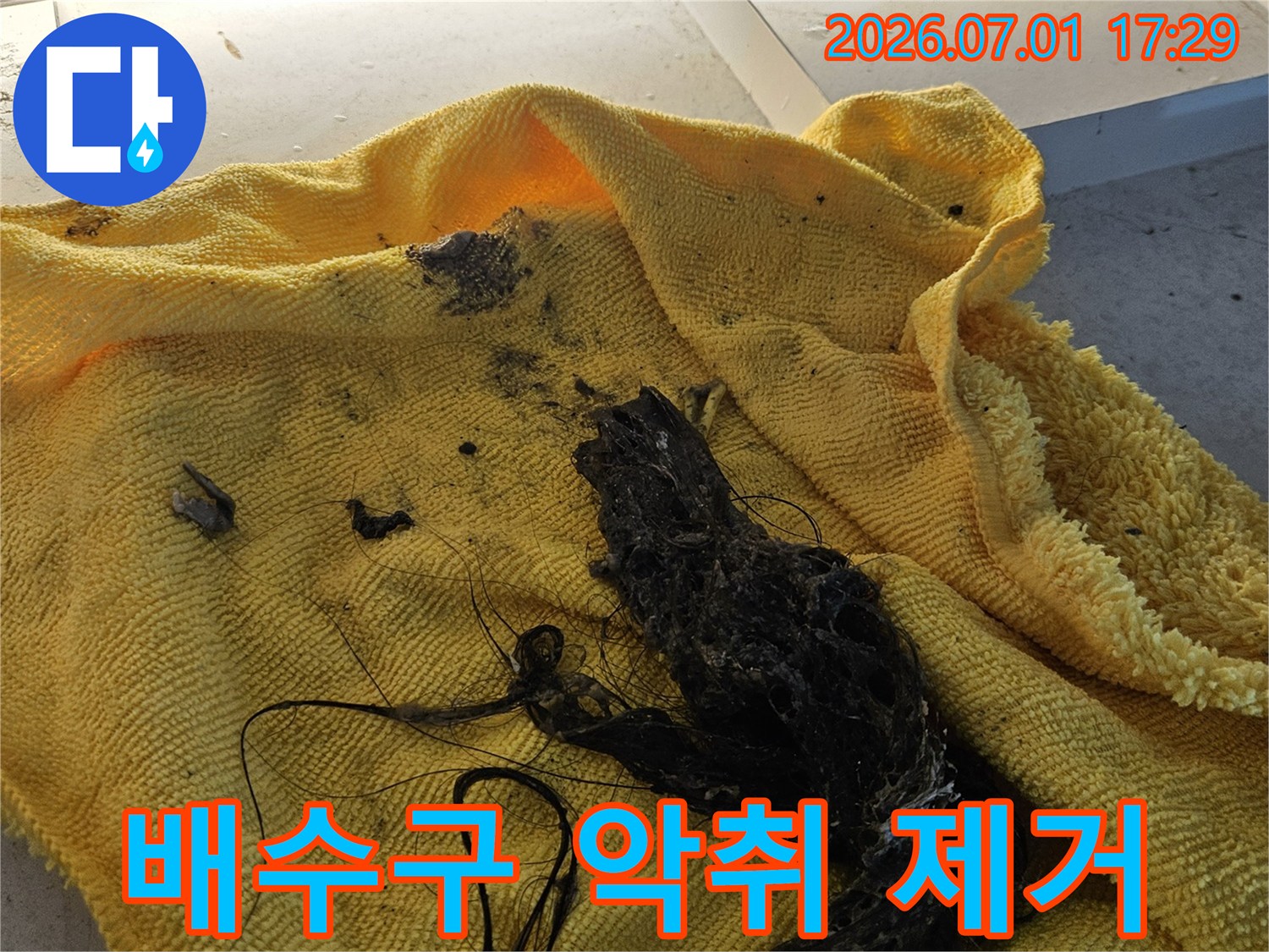 노란색 수건 위에 놓인-배수관에서 제거된-오래된 머리카락과 슬러지 덩어리입니다-이는 배수구 악취의 주범입니다