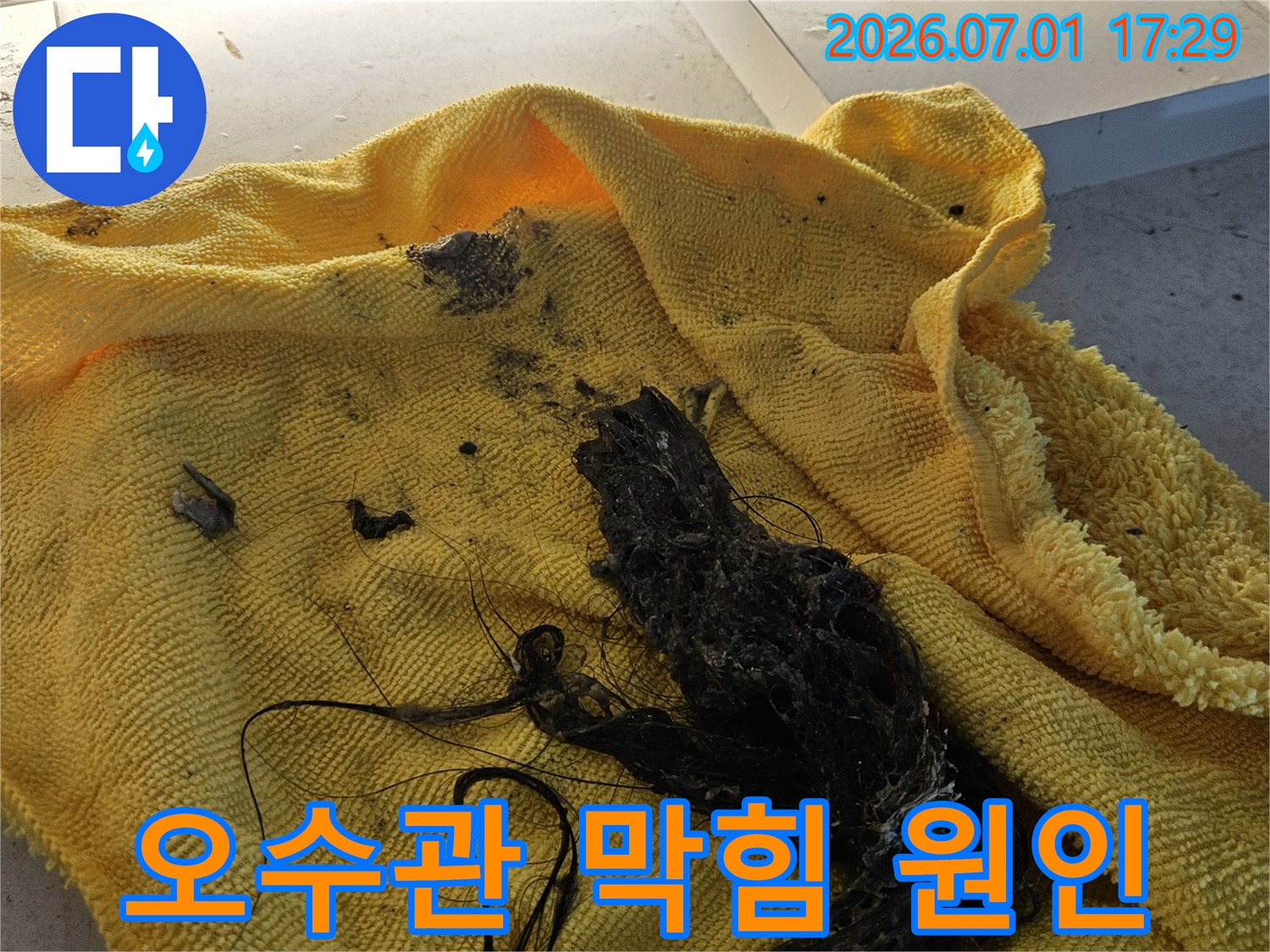 노란색 수건 위에 놓인-오수관에서 제거된-머리카락과 슬러지 덩어리입니다-이는 오수관 막힘의 주된 원인입니다
