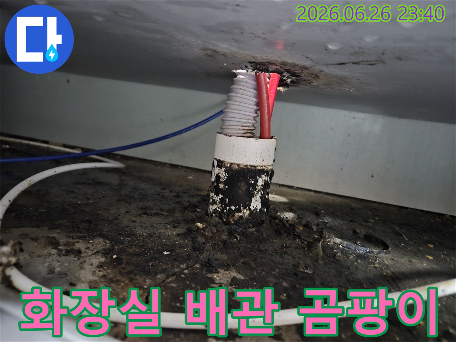 화장실 배관 틈새에서 발생한 누수로 인해-주변에 심각하게 번식한 곰팡이와 오염을 보여줍니다.