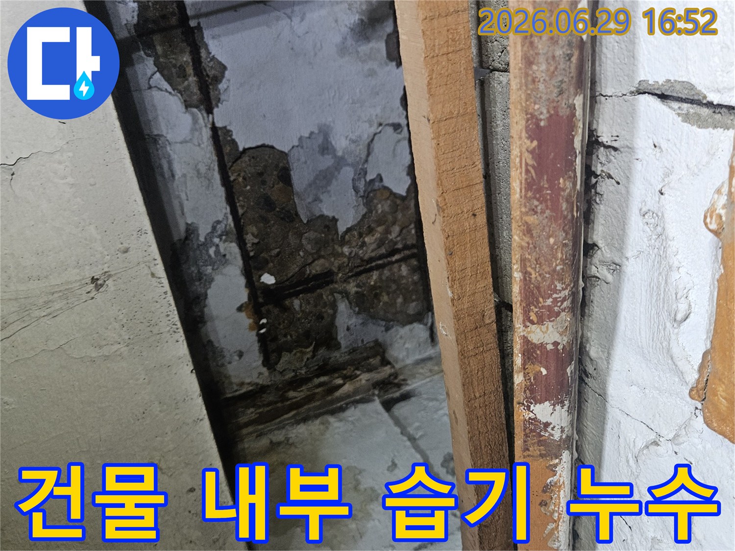 건물 내부의 높은 습기로 인해-벽면이 젖고 곰팡이가 발생한 누수 연관 현장