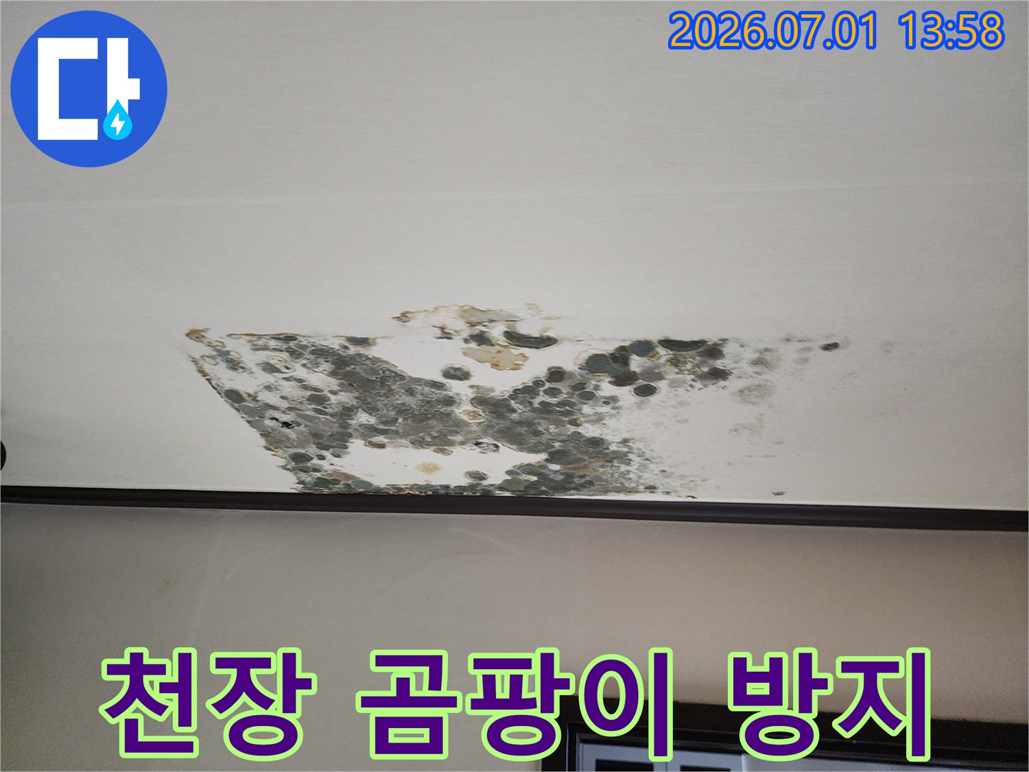 상가-천장에-발생한-누수-곰팡이-피해를-보여주며-재발-방지-시공의-중요성을-강조하는-사진입니다