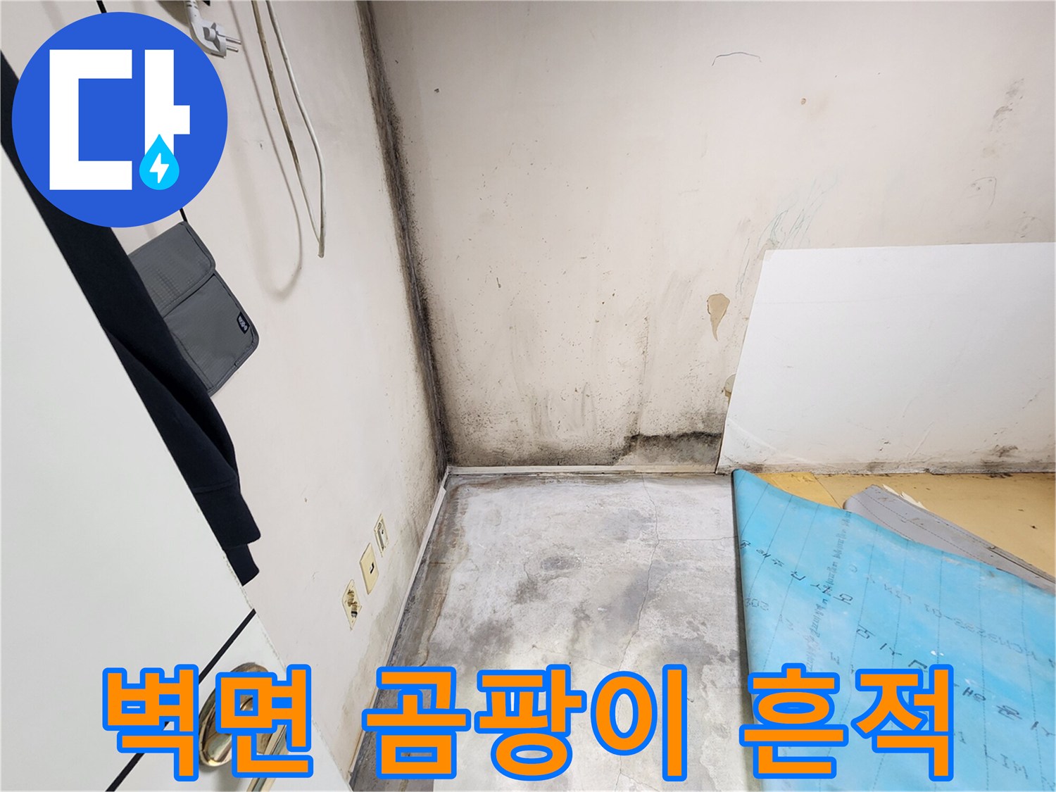 울산 중구 학성동 현장의 벽면 곰팡이와 얼룩 상태