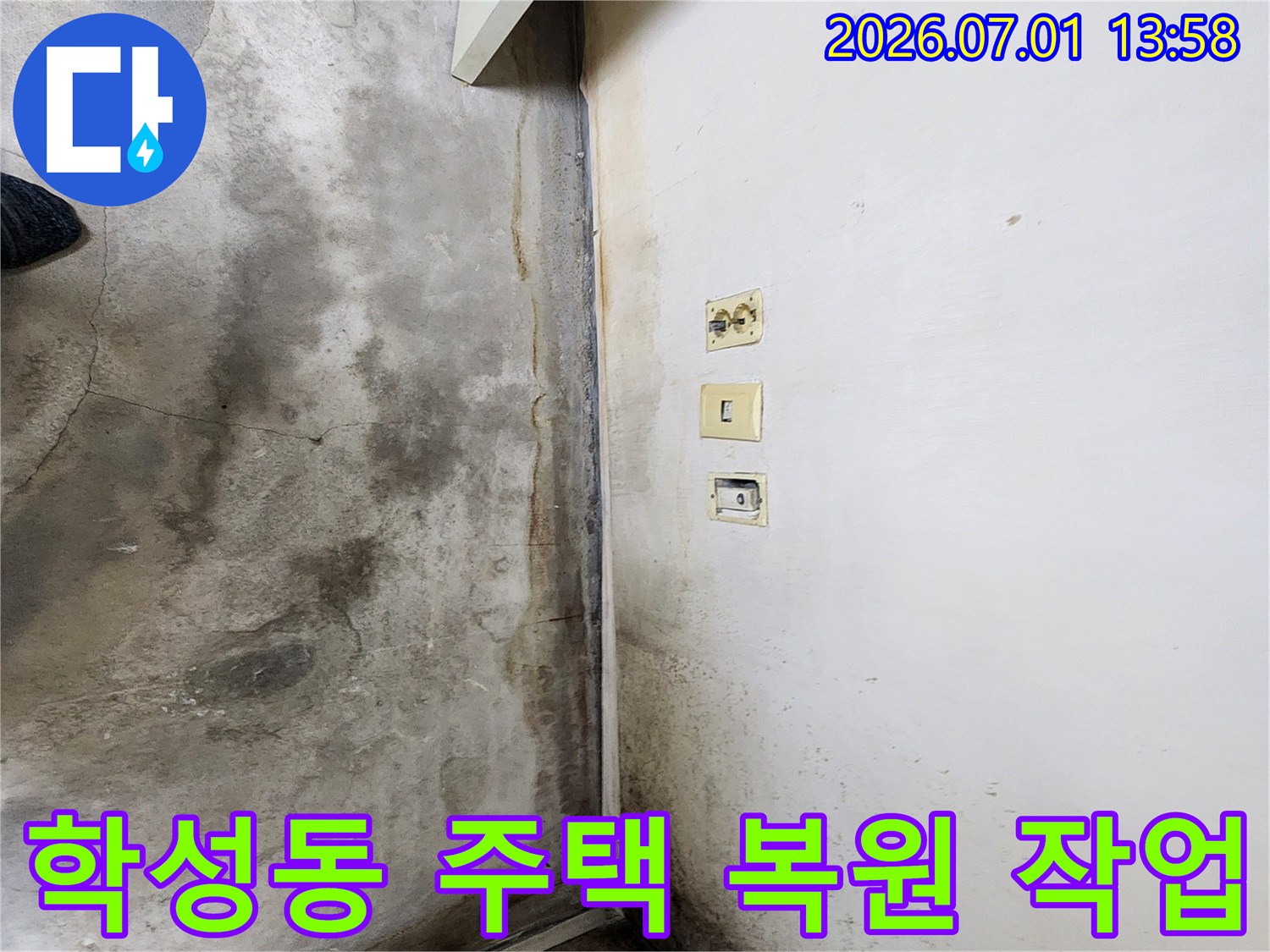 울산-학성동-주택-내부-벽면과-바닥에-누수로-인한-심각한-곰팡이와-오염이-발생한-현장-사진