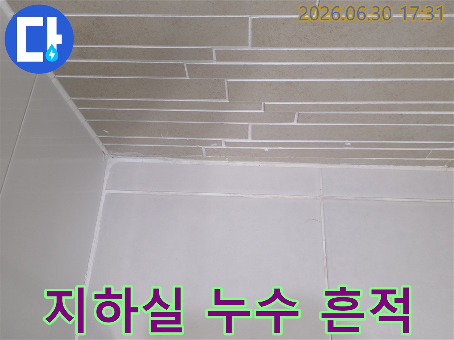 이 이미지는-용산구 주택의 지하실에서-누수가 발생하여-벽면이 손상된 현장을-보여줍니다