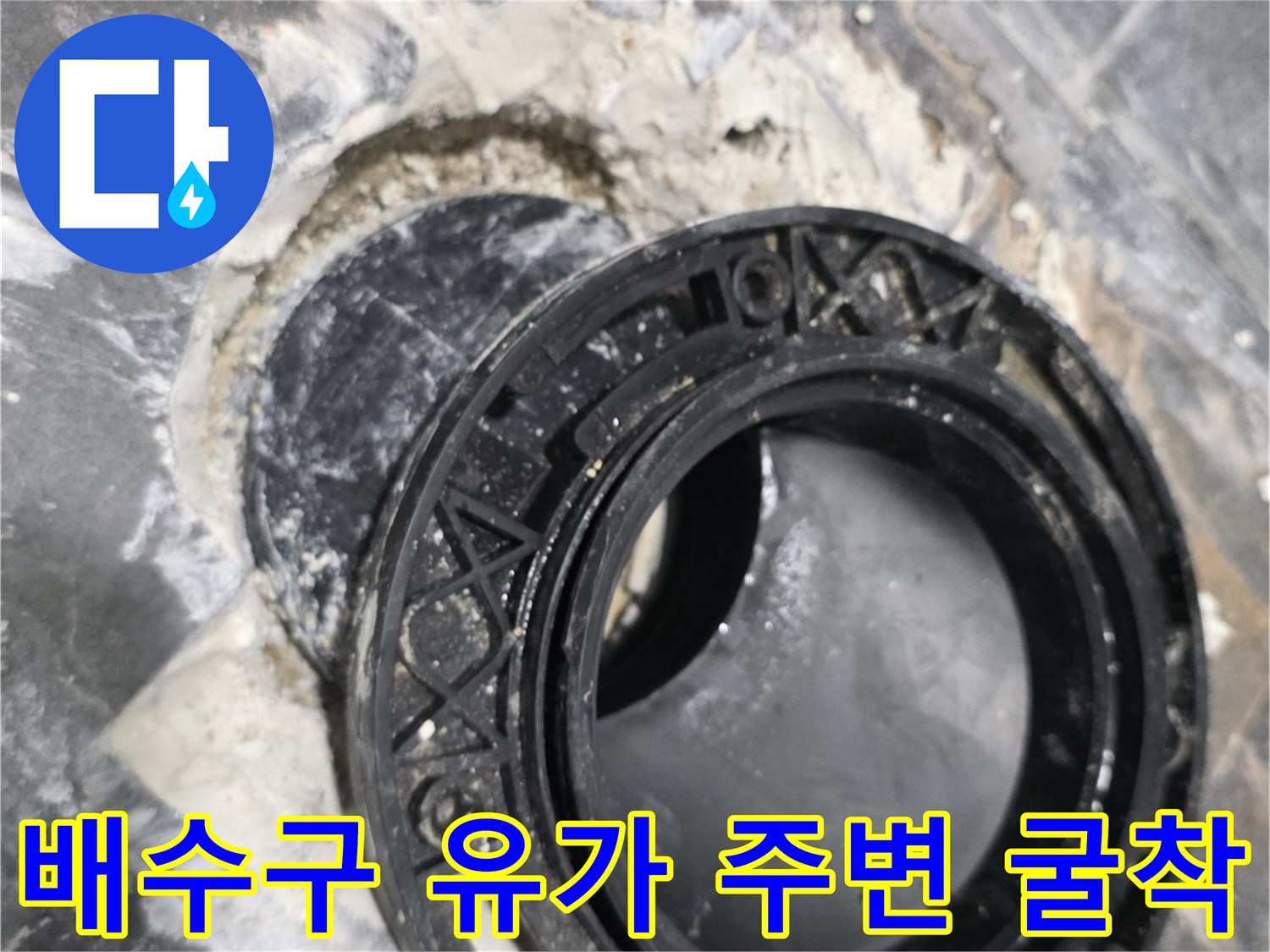 안양 동안구 화장실 배수구 유가 주변 방수층 파손 확인 장면