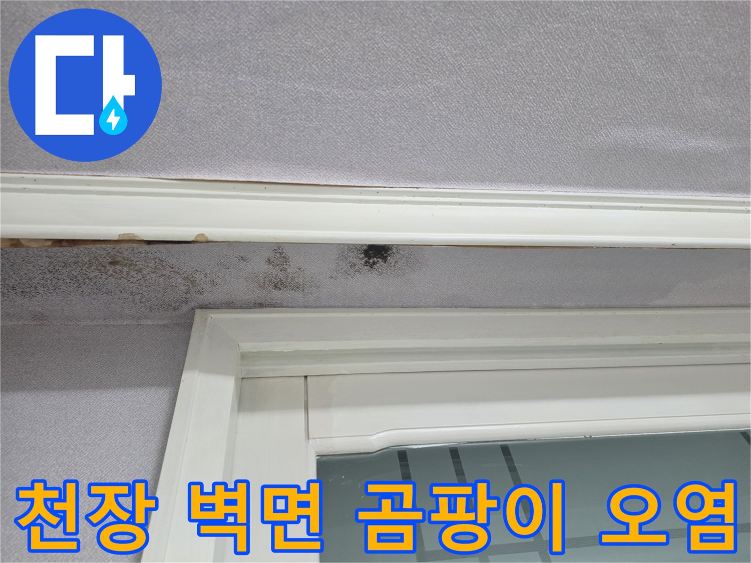 창문 위쪽-벽면 곰팡이-발생 부위 상세 확인