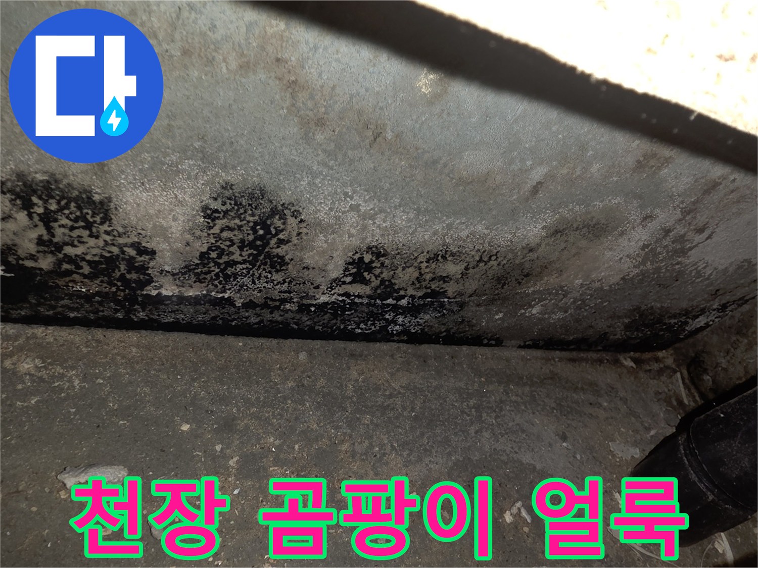 천장-가장자리에-발생한-심각한-곰팡이-얼룩
