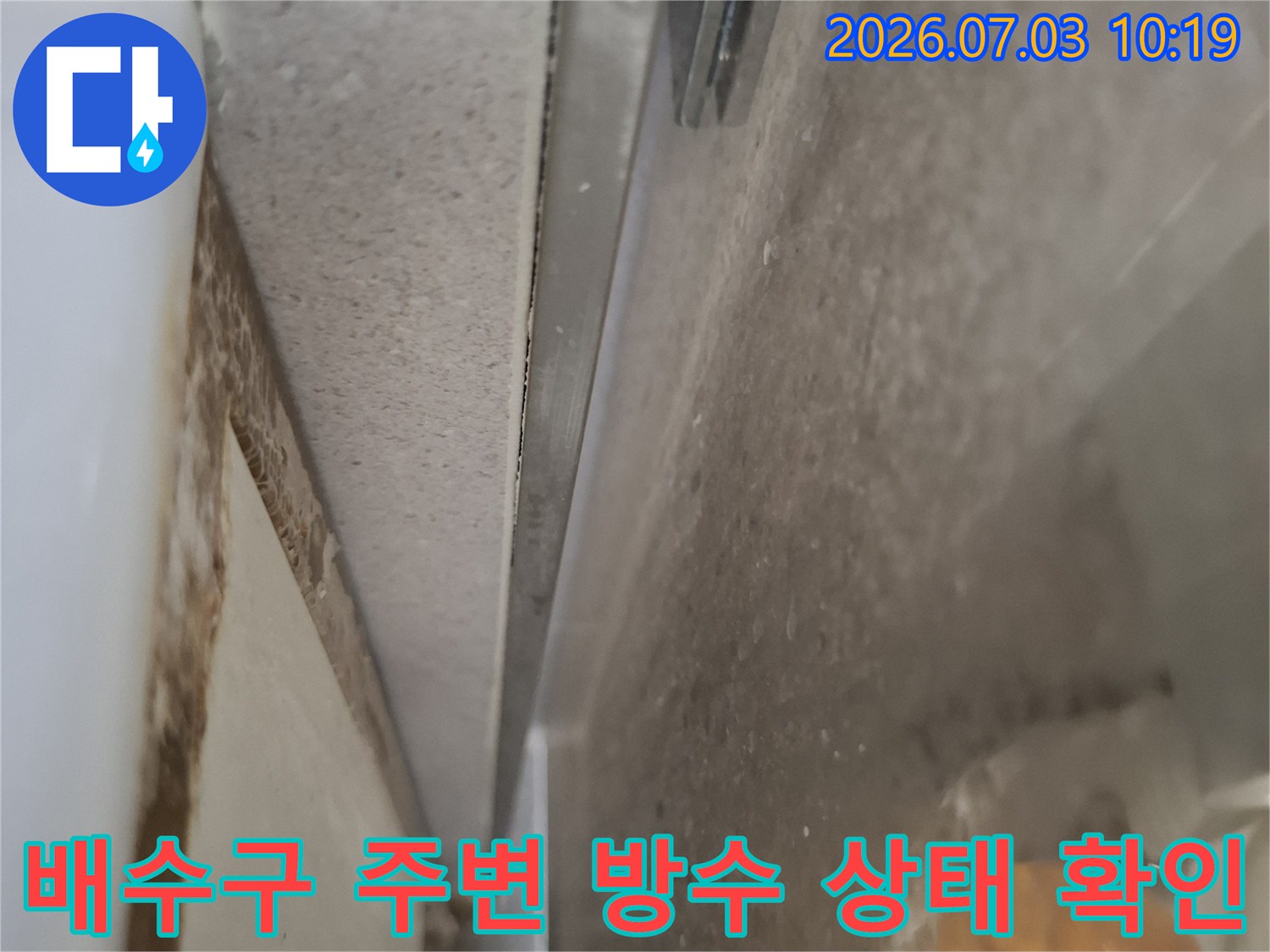 천장 내부 배관과 마감재 부위를 집중적으로 조사하는 모습