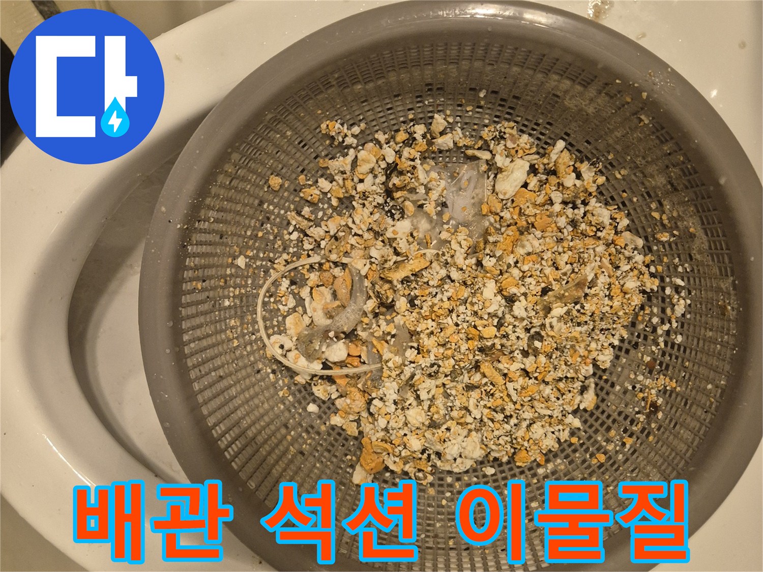 싱크대 배관에서 추출한 기름 슬러지와 음식물 찌꺼기 모습