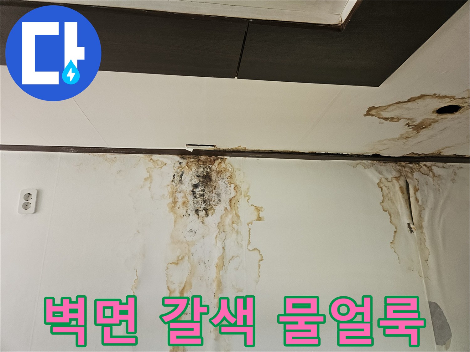 아래층 거실 천장-벽면을 따라 흐른 누수 흔적과 곰팡이 발생 부위