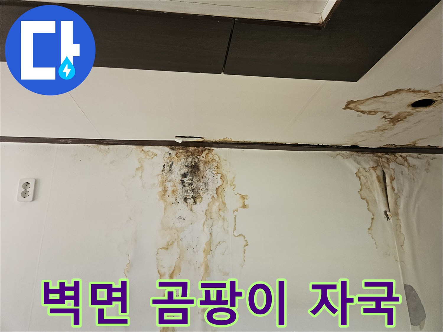 정릉동 아파트 아래층 벽면에 발생한 누수 물자국과 곰ᥱ팡이 현상