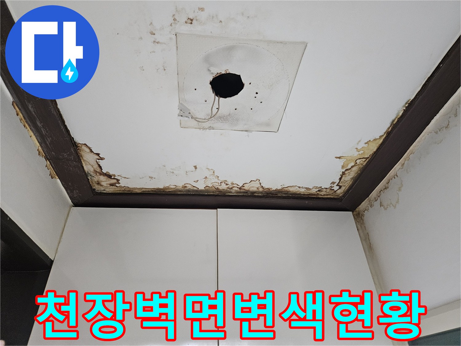 천장-경계-부분의-심한-물-번짐과-곰팡이-발생-부위