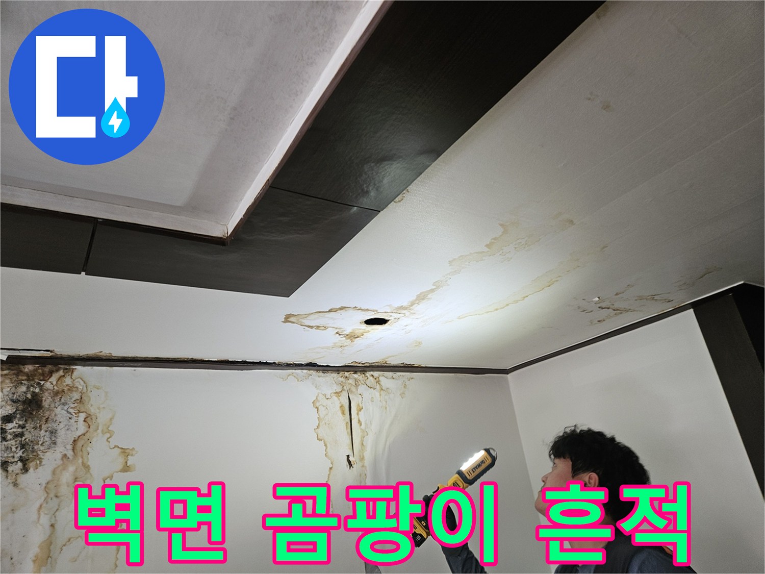 천장과 벽면 경계에 나타난 심한 누수 자국 및 곰팡이