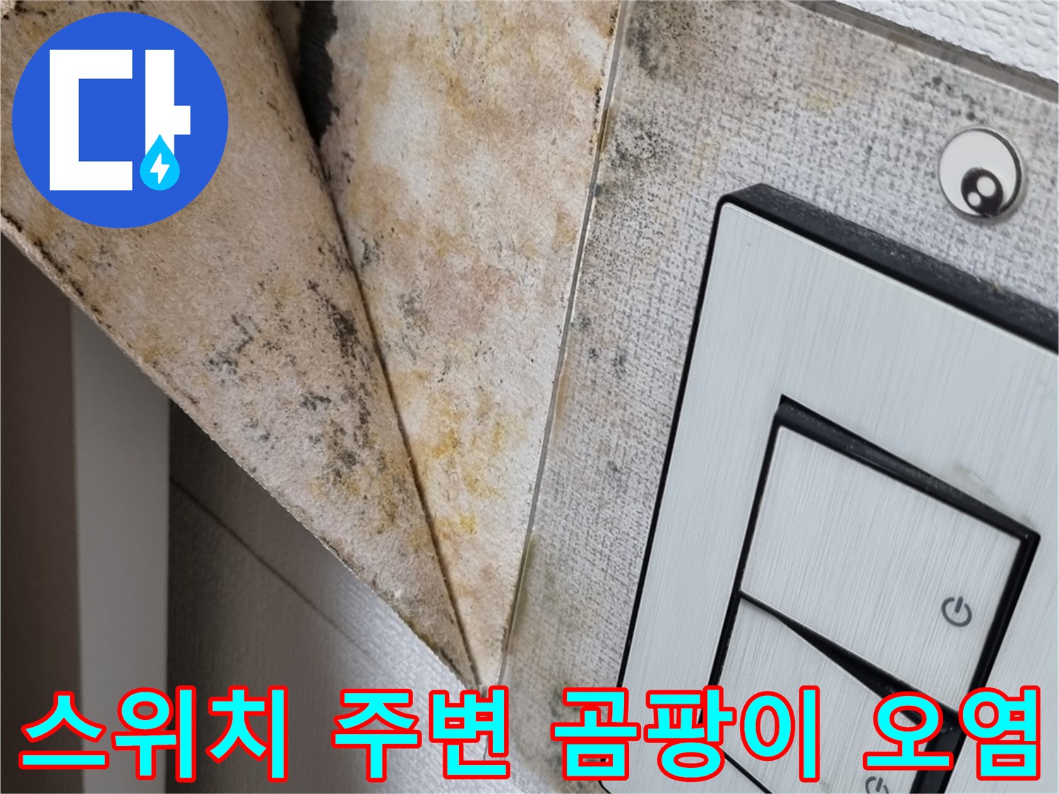 천장 스위치 근처의 심한 벽지 변색과 곰팡이 흔적
