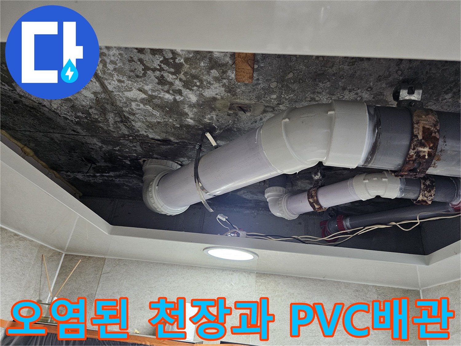 곰팡이가-핀-천장-슬래브와-하수도-배관