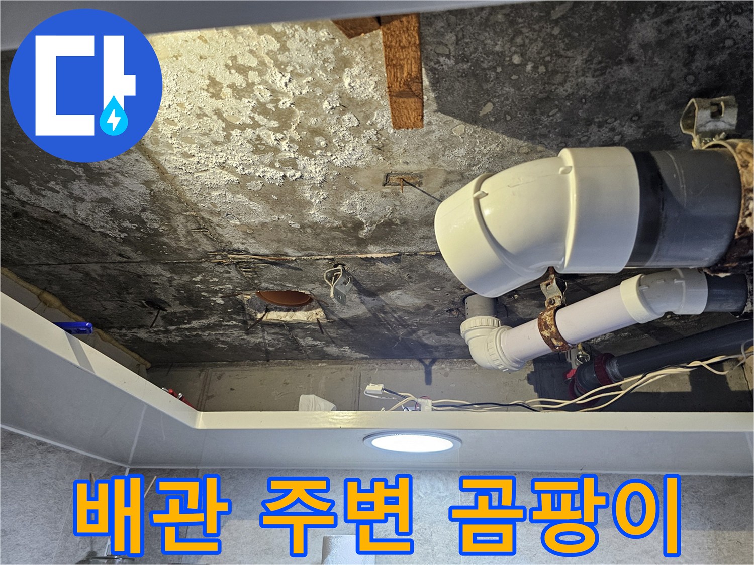 오염된-천장-슬래브와-노출된-하수-배관-사진