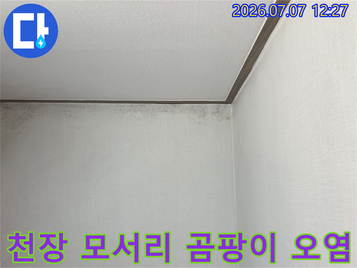 벽면과 천장의 접촉 부위에서 발생한 누수로 인한 곰팡이 흔적