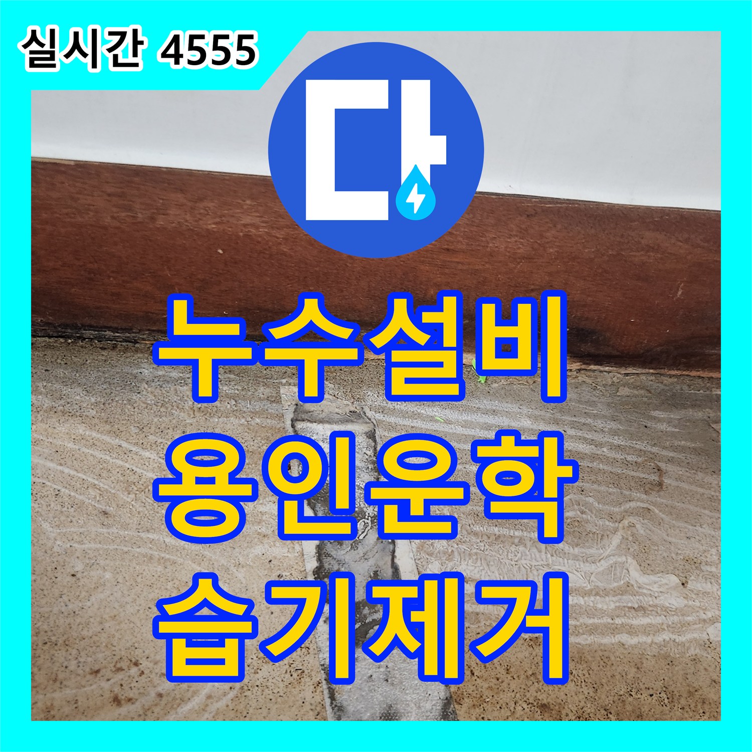 누수설비 화장실 배수구 주변 방수 불량으로 인한 벽면 습기 원인 분석 및 조치 경기도 용인시 처인구 운학동