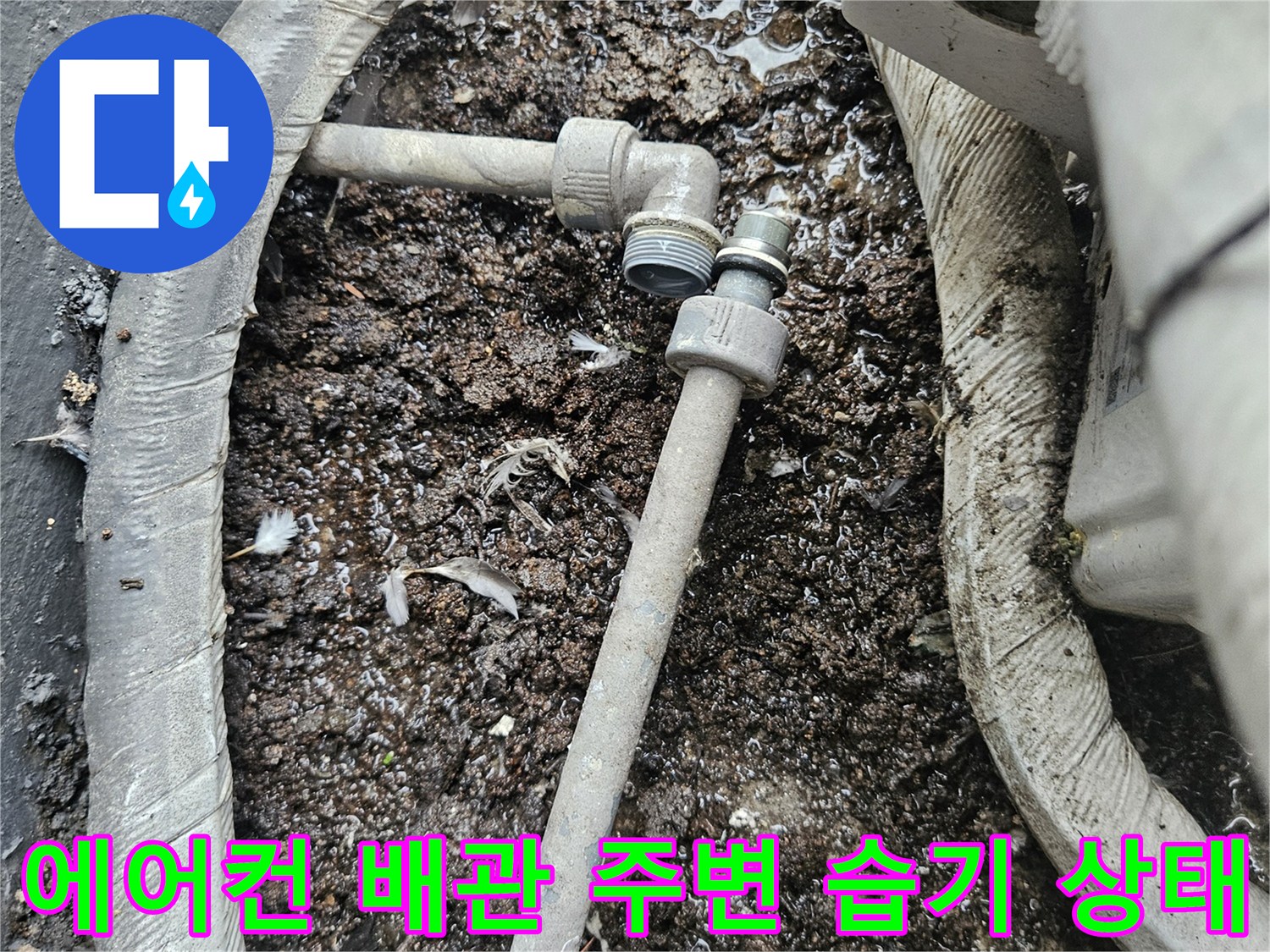 에어코언-실외기-배관-주변의-습기와-이물질-상태