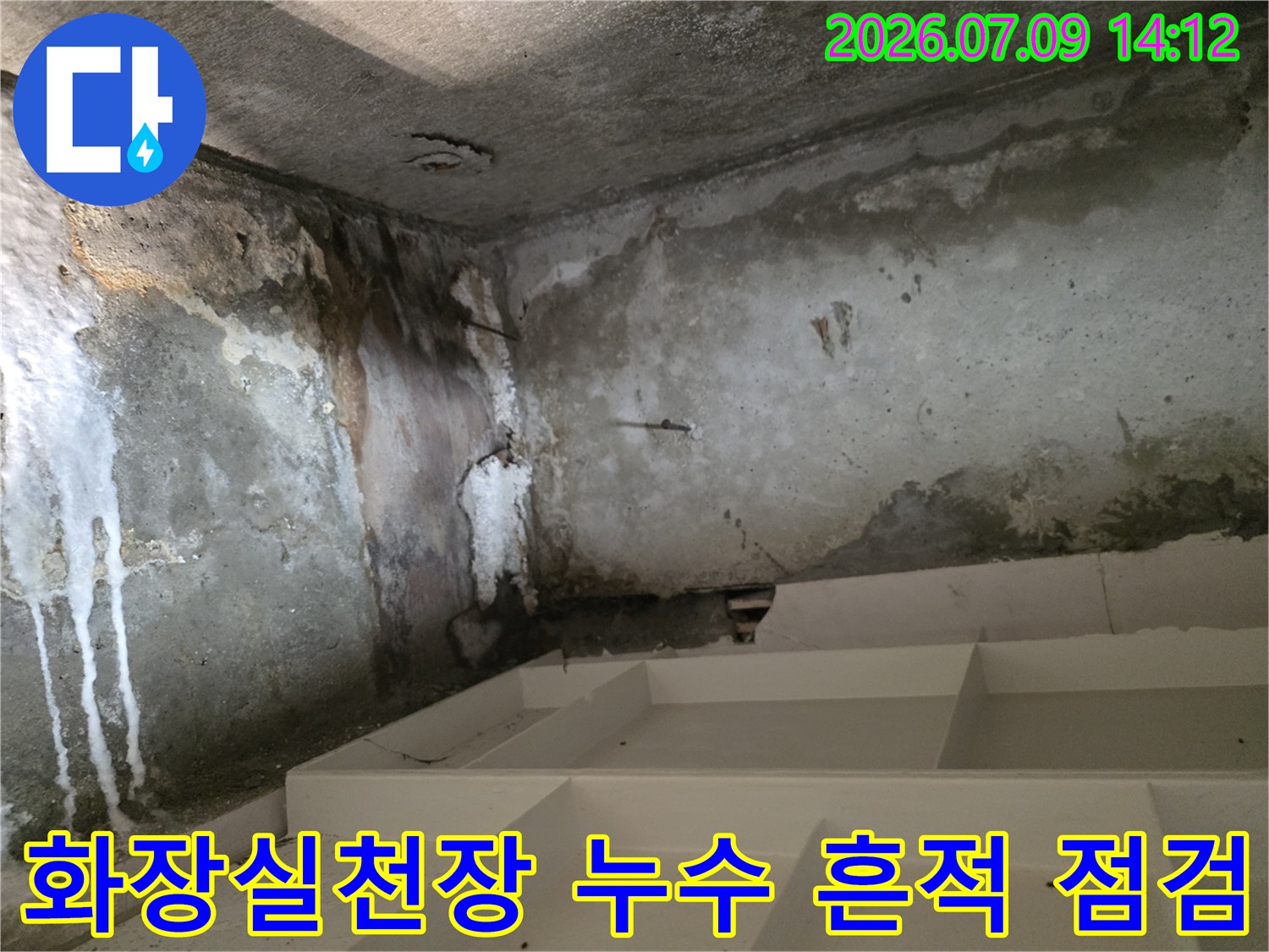 화장실 천장 벽면에 하얗게 내려온 누수 자국과 곰팡이 오염이 확인되는 현장 모습