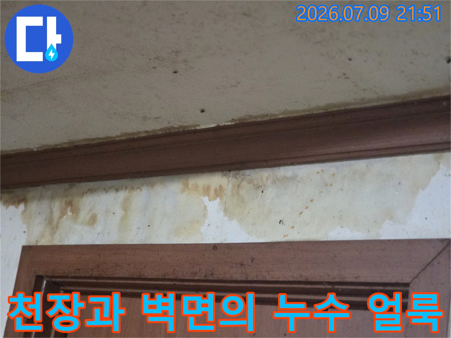벽체와 천장 경계면에 발생한 누수 흔적 및 곰팡이 오염 상태
