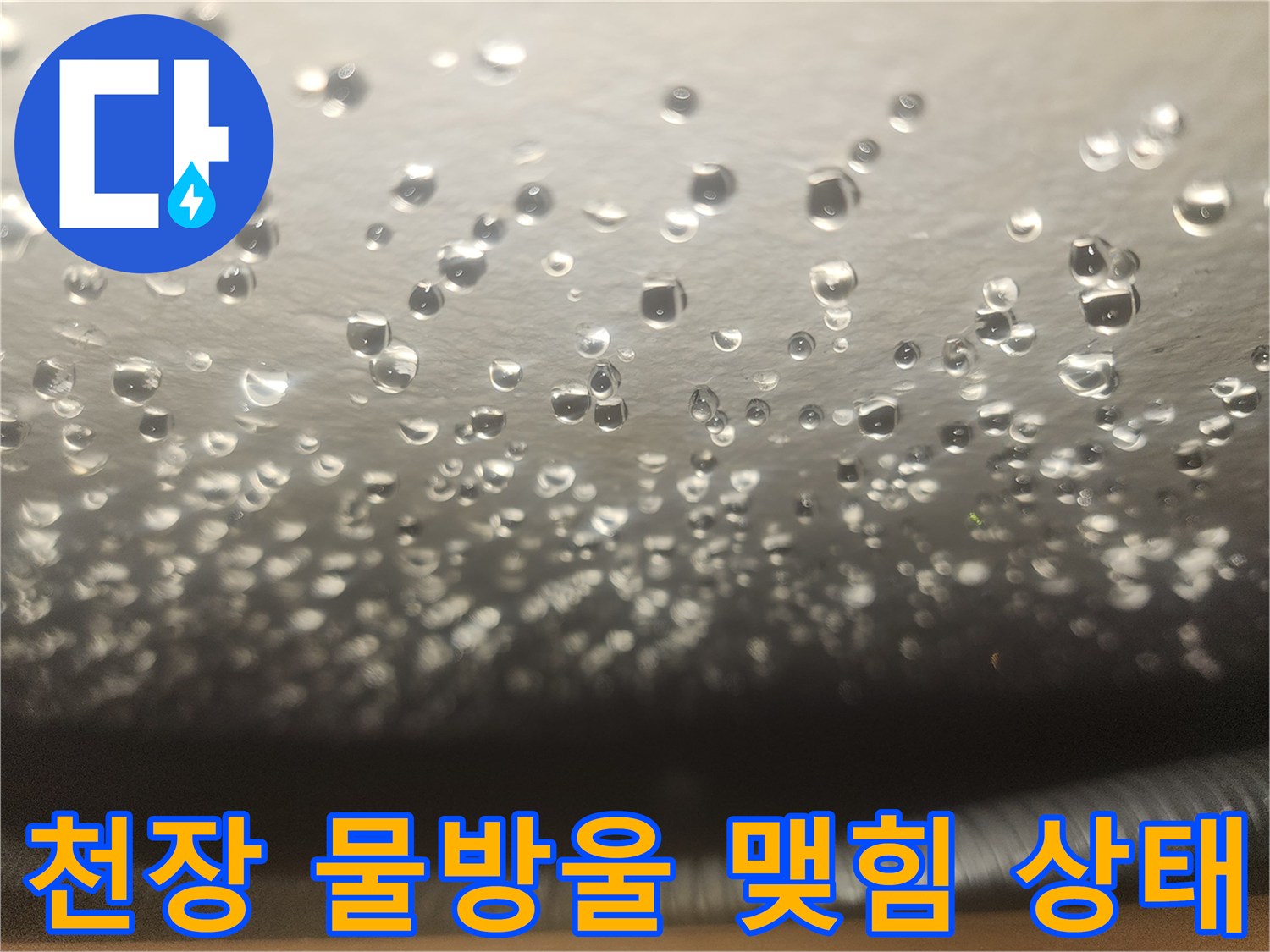 천장재에 맺힌 수많은 물방울 - 누수 유입 경로를 보여주는 현장