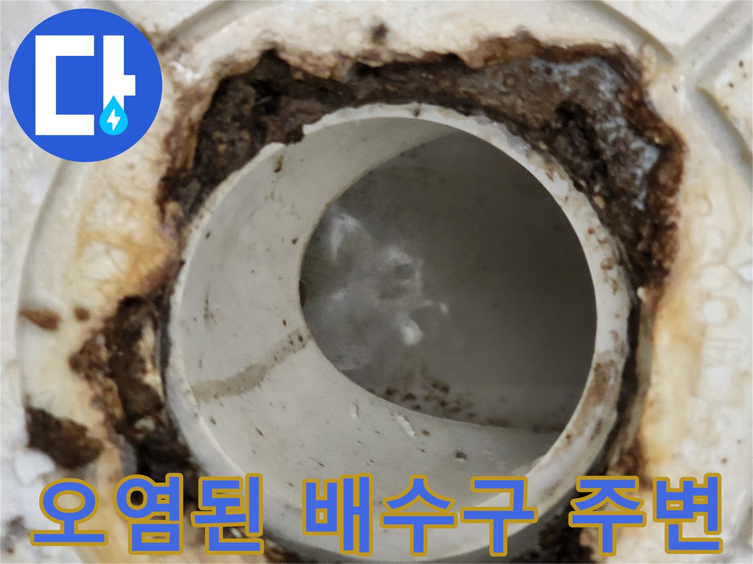 화장실-배수구-주변의-심한-이물질-및-오염-상태