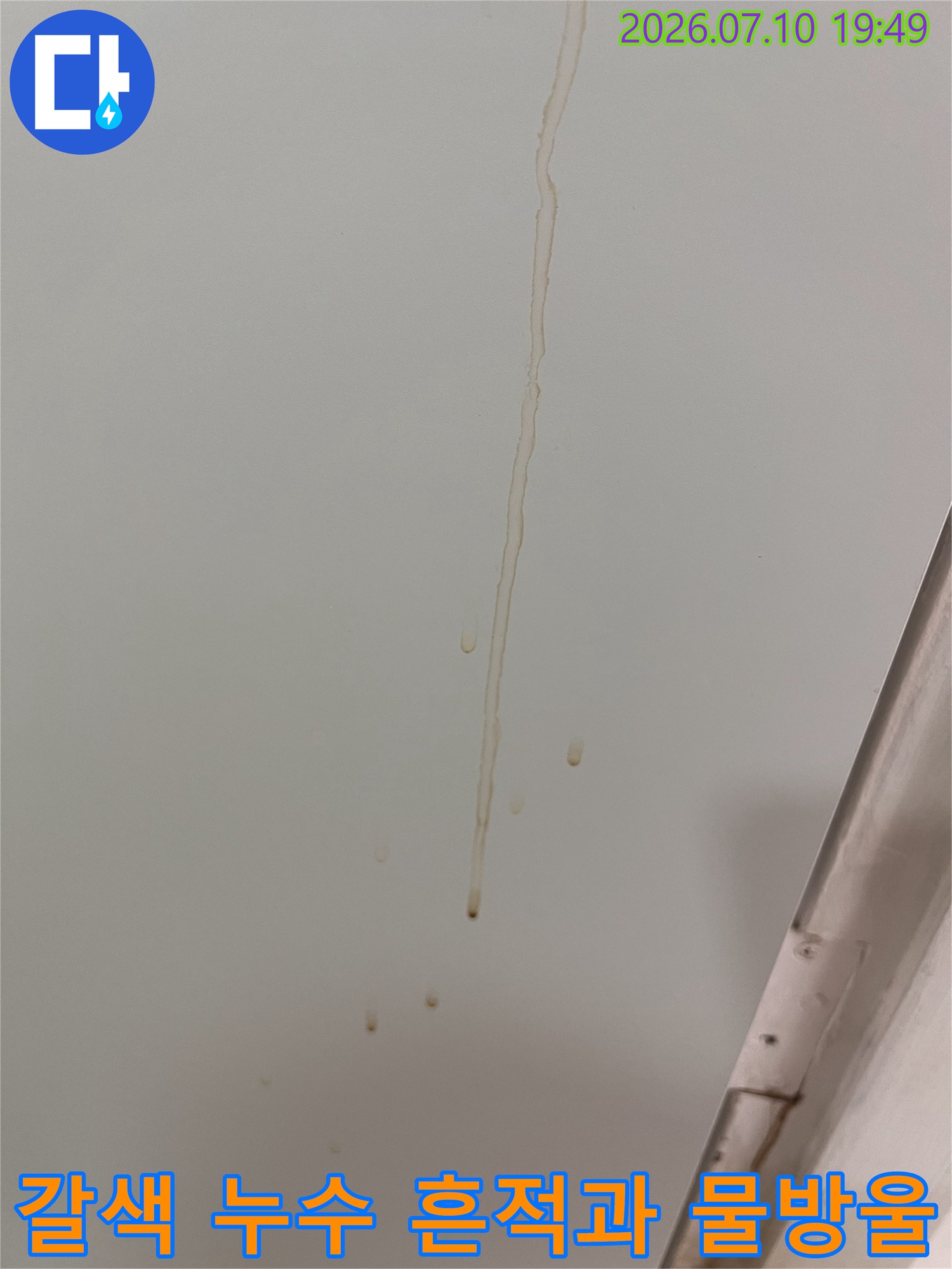 천장에서 길게 늘어진 갈색 얼룩과 맺혀있는 누수 수분들