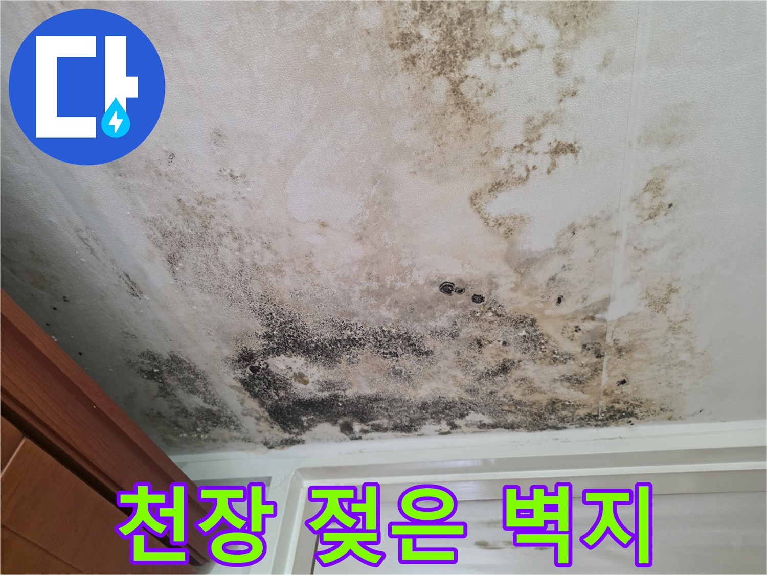 현관 입구 천장-누수로 인해 변색된 벽지와 곰팡이