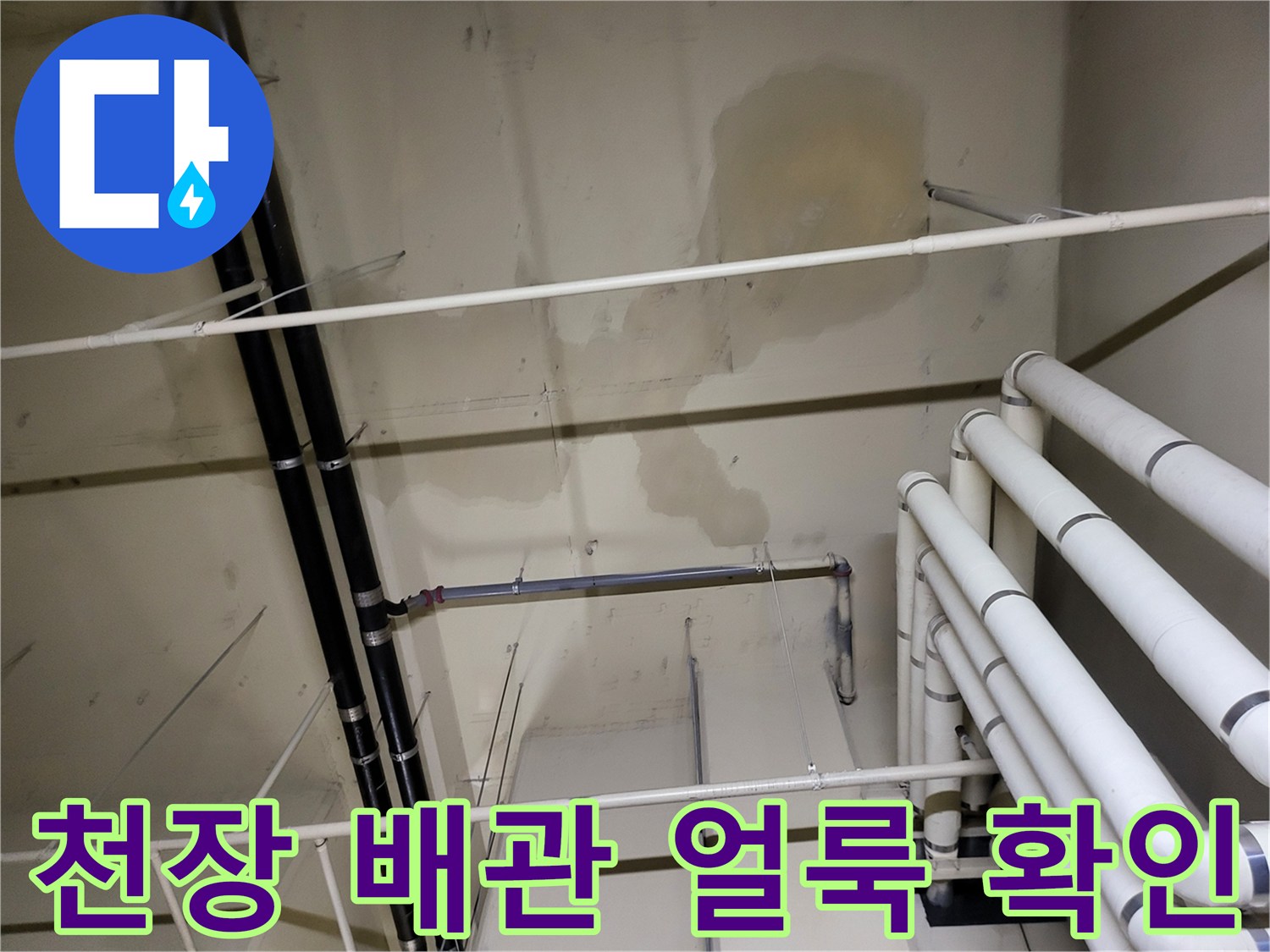 아파트 지하 천장-배관 주위의 젖은 흔적과 오염된 벽면