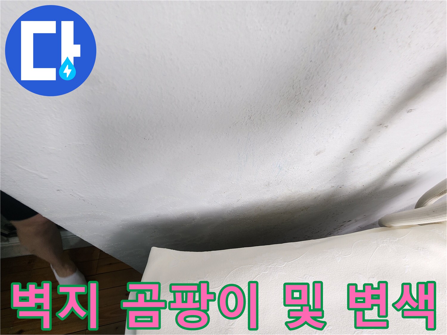 습기로 인해 얼룩지고 곰팡이가 발생한 벽면 상태 - 누수 피해 확인