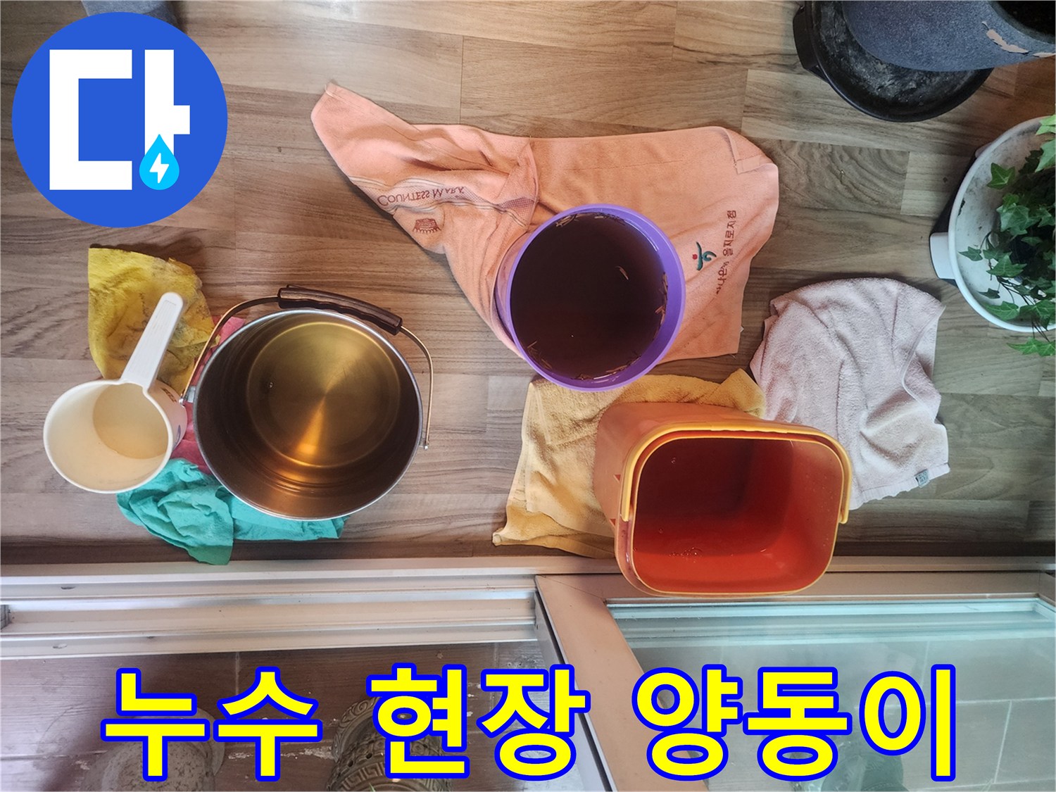 누수 지점의 물을 받기 위해 준비된 양동이와 바가지