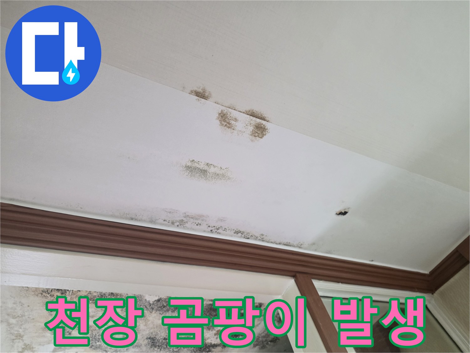 벽지 표면에 번진 곰팡이와 수분 침투 흔적