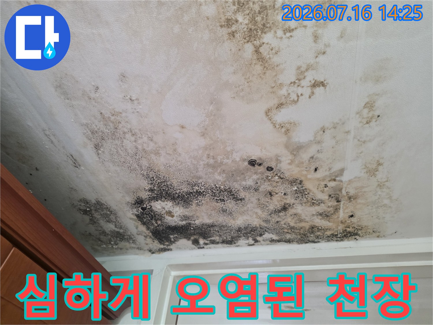 변색되고 곰팡이가 핀 거실 천장 마감부위