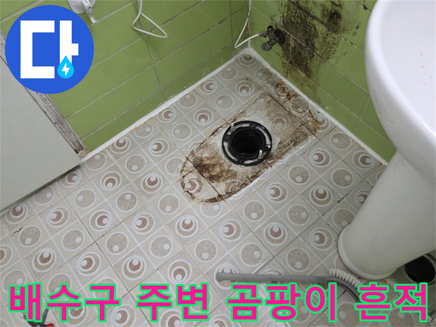 욕실 바닥 배수구-오염된 타일과 배관 주변의 누수 흔적