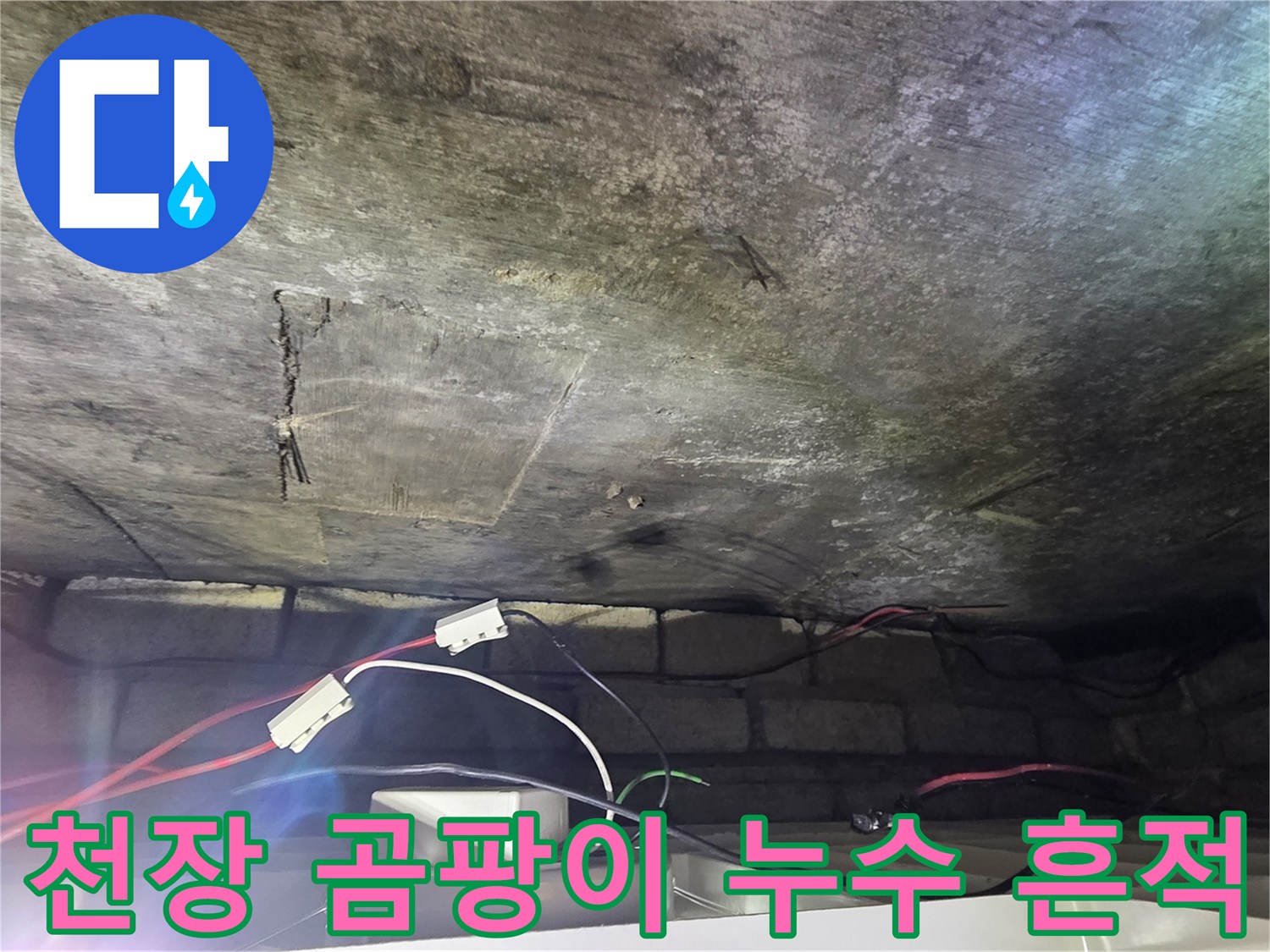 물샘으로 인해 발생한 천장 콘크리트의 곰팡이와 얼룩