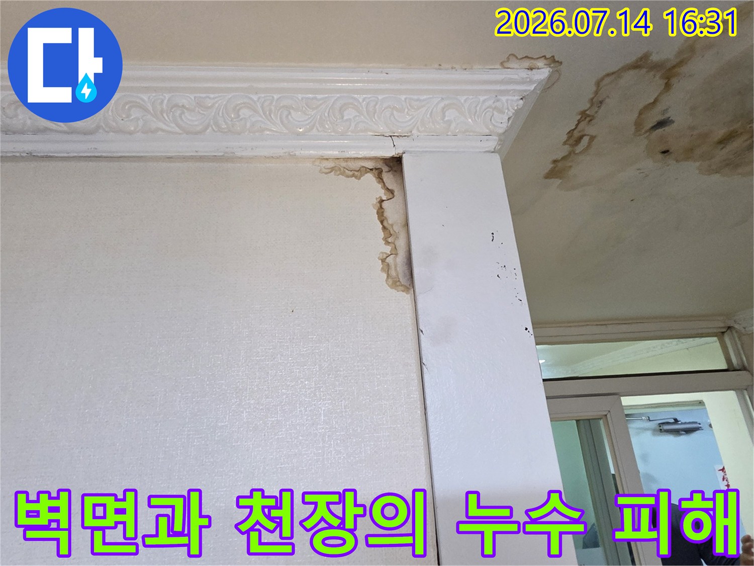 벽체와 천장 경계 부위의 곰팡이 및 물때 얼룩 상태