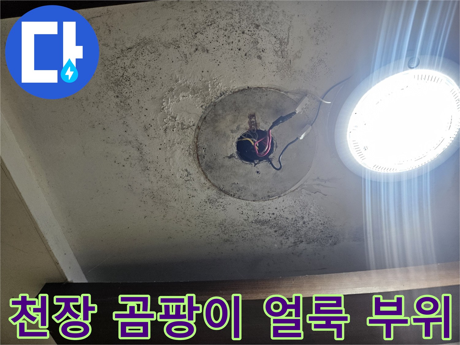 배관 주변에 발생한 검은색 곰팡이와 습기 흔적