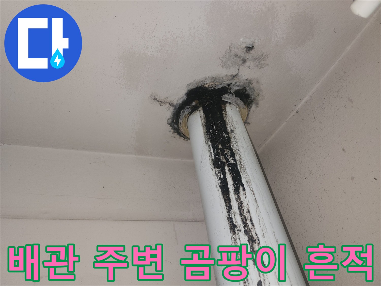 아파트 수직 배관-주변 천장 곰팡이 및 오염 상태