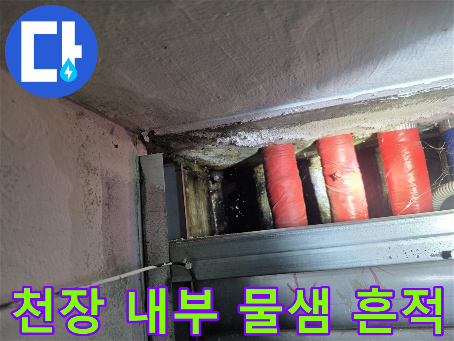 양천구 식당 천장-젖어 있는 배관과 습기 부위