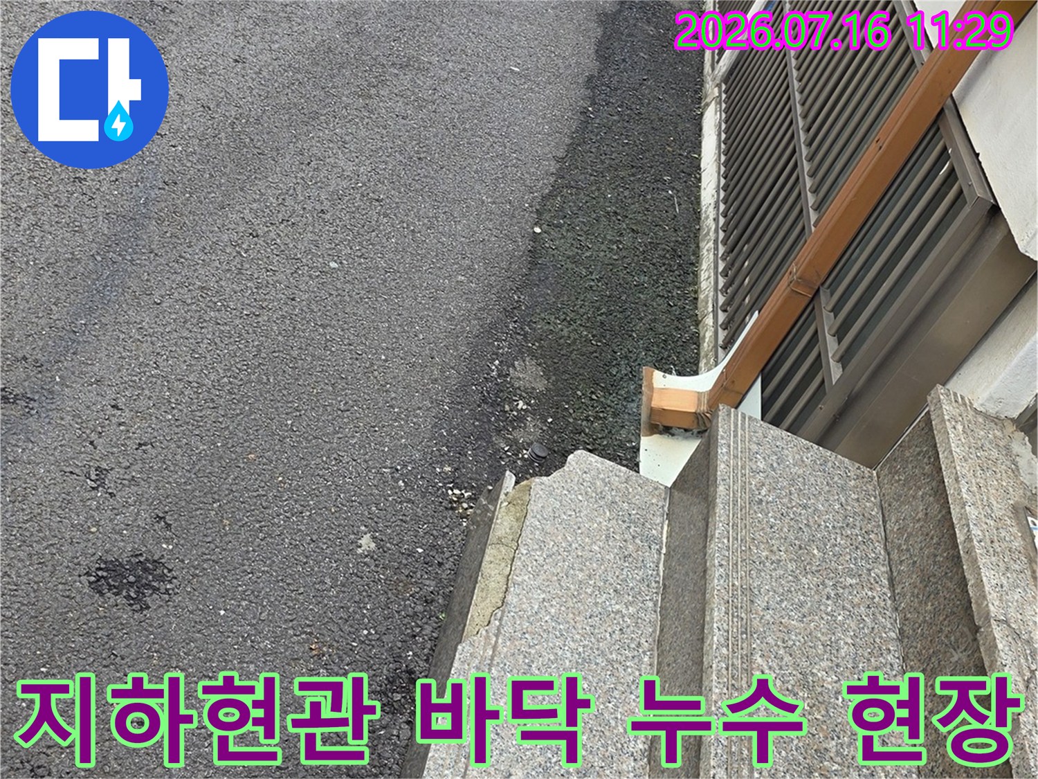 지하 현관 바닥에 빗물이 고여있는 모습과 우수관 배출구 근처의 노면 상태