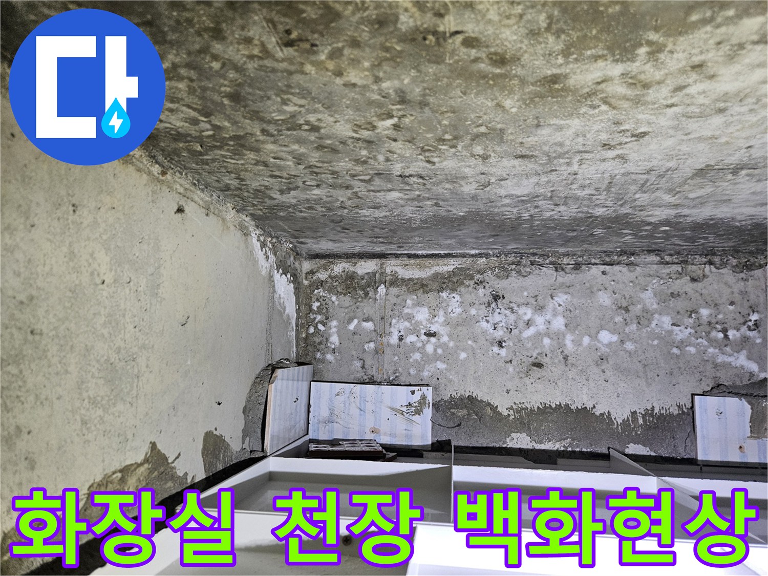 춘천-석사동-아파트-화장실-천장-백화현상이-발생한-모습