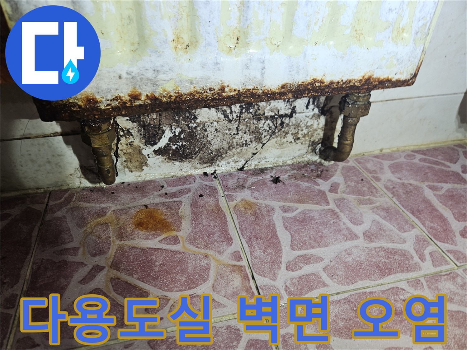 세탁기 배관 아래-벽면 타일 틈새의 검은색 곰팡이와 습기