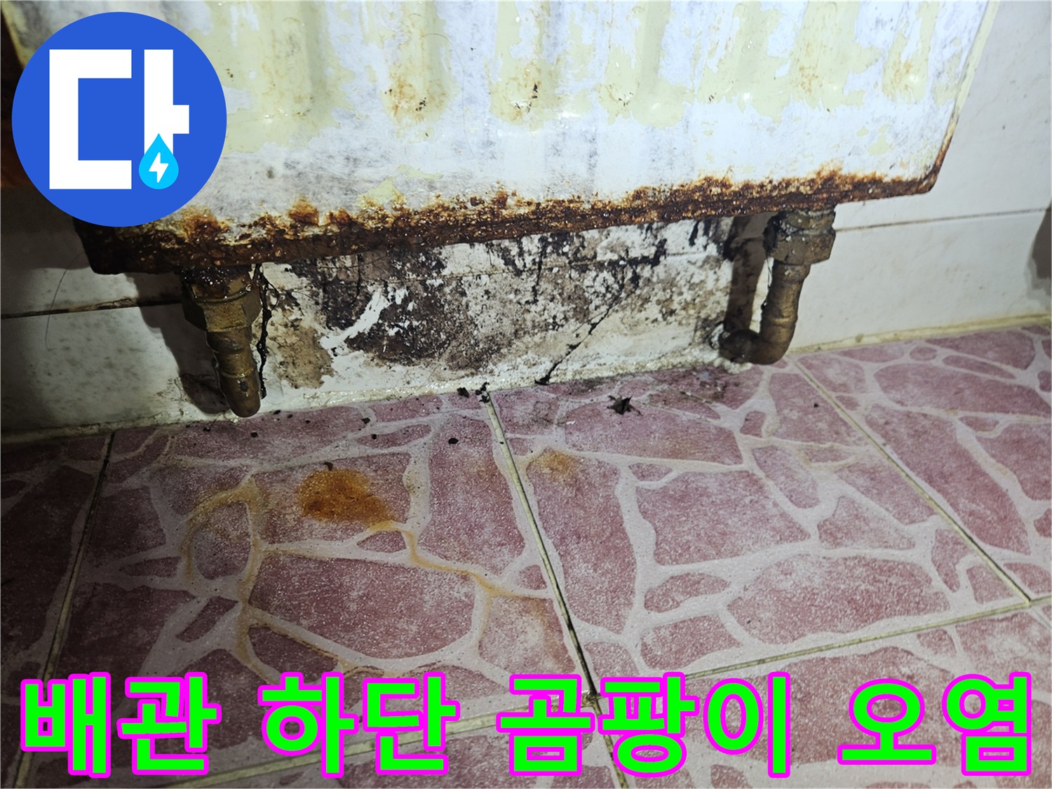 세탁기-하부-배관-주변의-심한-곰팡이와-부식
