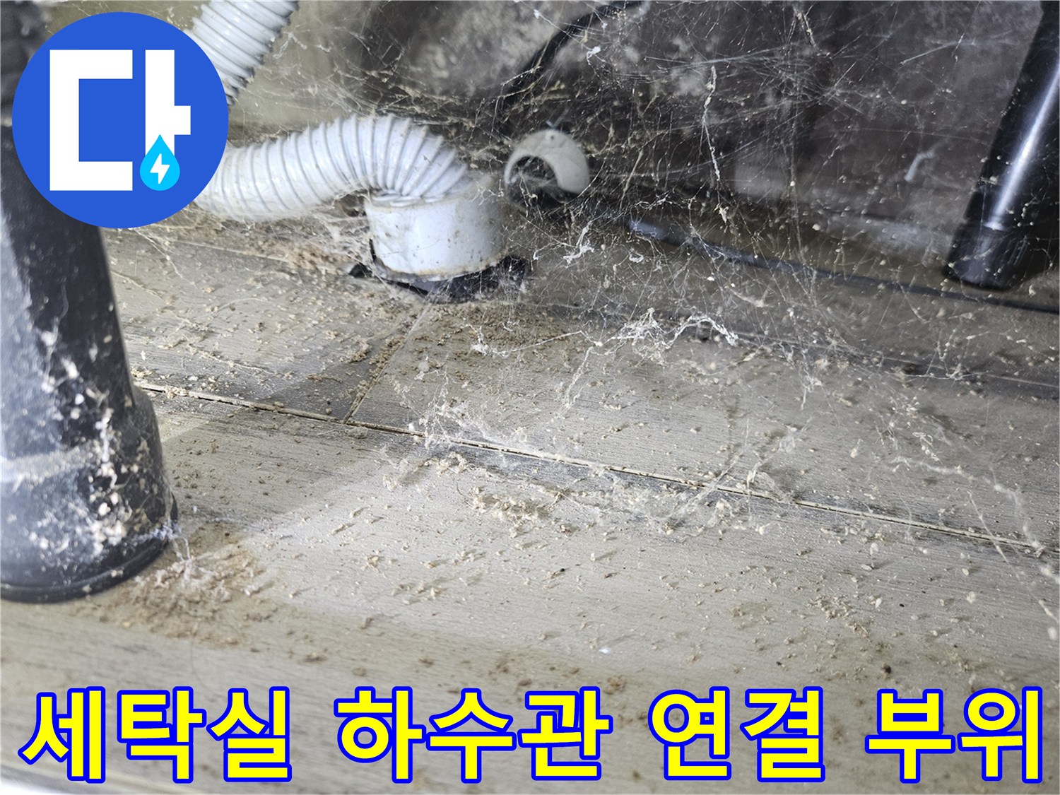 세탁실 배수 호스-하수관 접합부의 오염 및 습기 상태